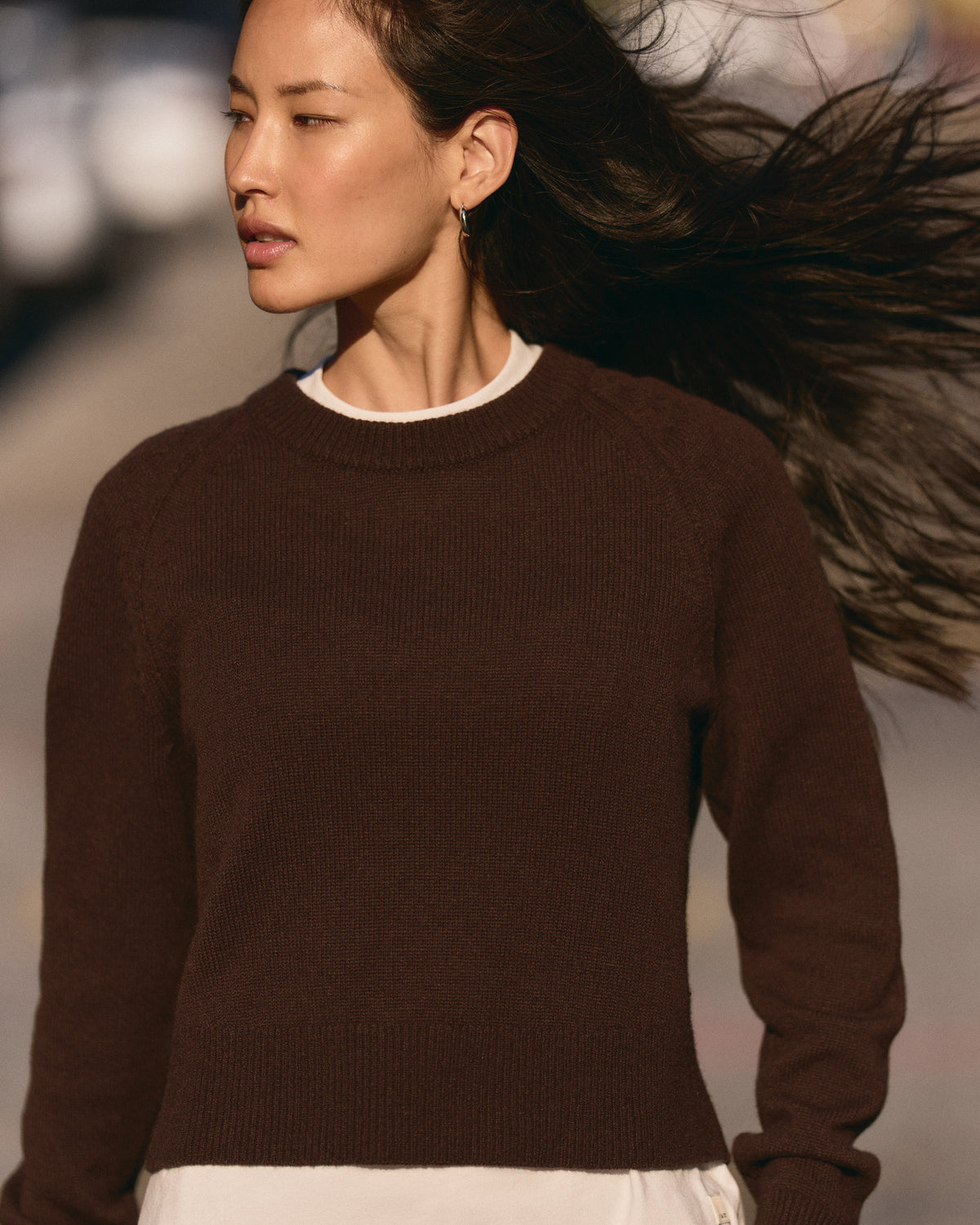 ??milie Cashmere Crew Women's Java Pullover
