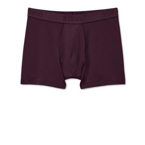 Lifestyle Boxer Brief Men's Raisin Underwear